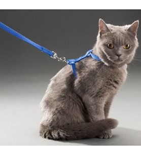 Kedi Göğüs Tasması 