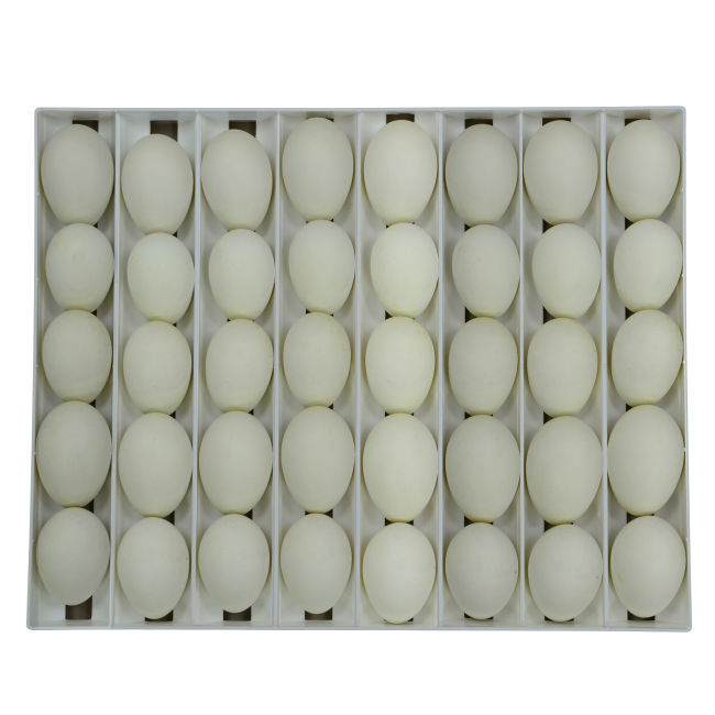 Kaz / Karışık Kuluçka Gelişim Tablası Tr40