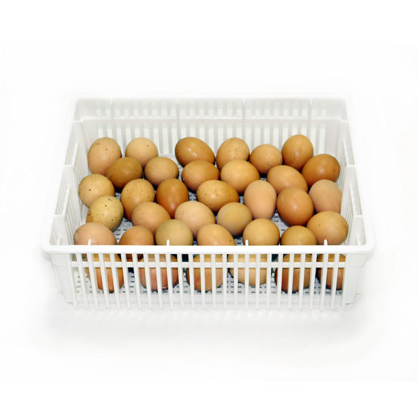 Kuluçka çıkım Sepeti Cs35-y (kapaksız)