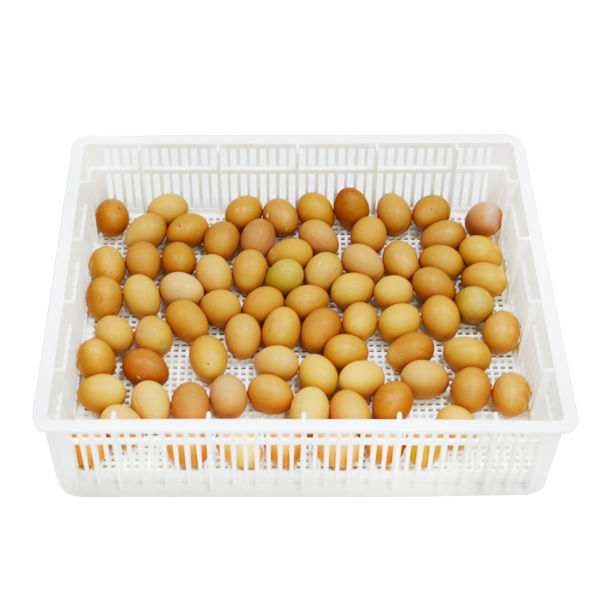 Kuluçka çıkım Sepeti Cs80-y (kapaksız )