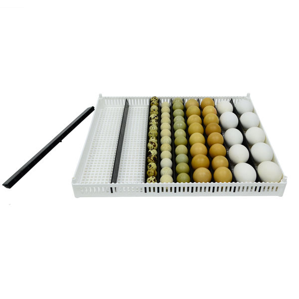Kuluçka Tablası - Flexy80