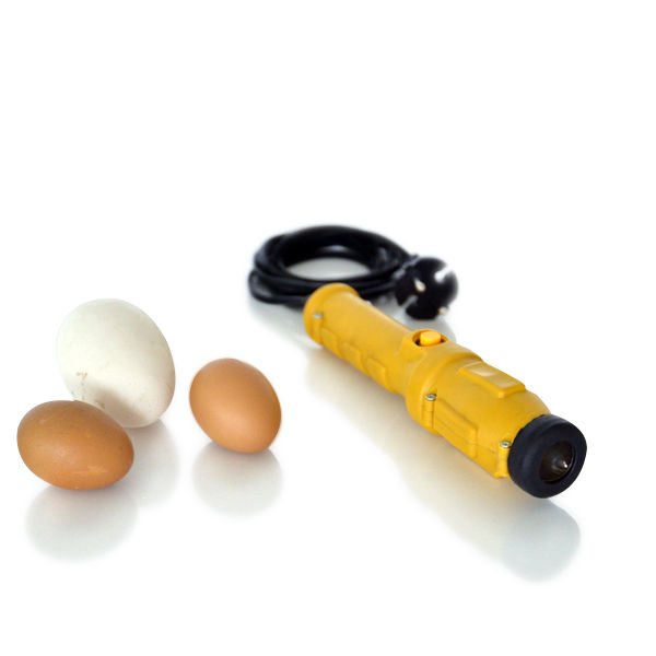 Yumurta Kontrol Lambası